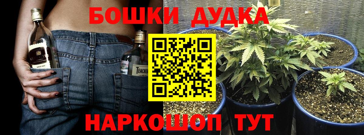 МАРИХУАНА ГИДРОПОН Орехово-Зуево
